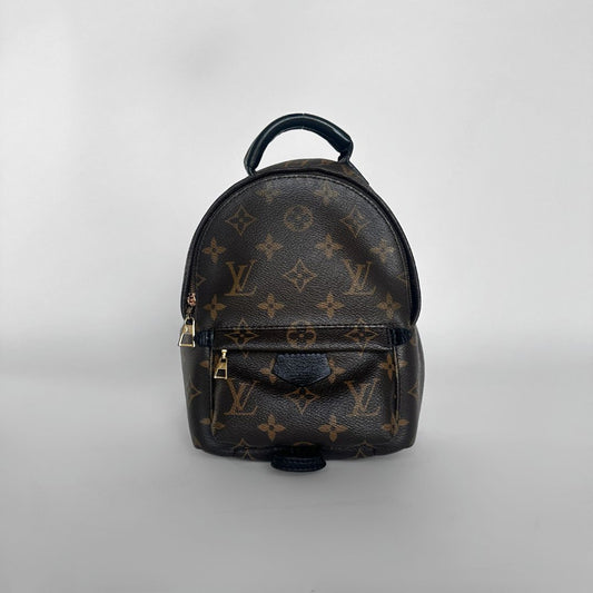 Louis Vuitton Louis Vuitton Palm Springs Backpack Monogram Canvas - Backpacks - Etoile Luxury Vintage