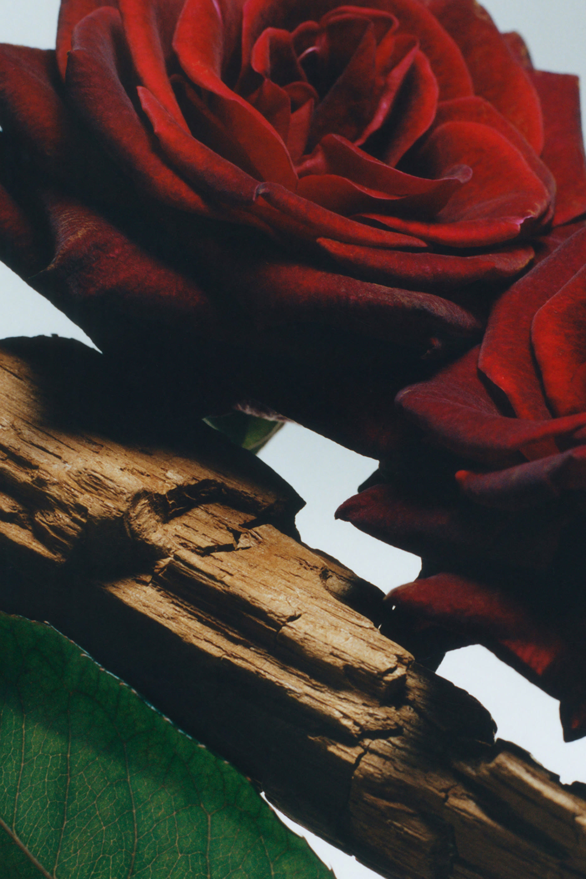 Velvet Rose  Oud All Over Body Spray