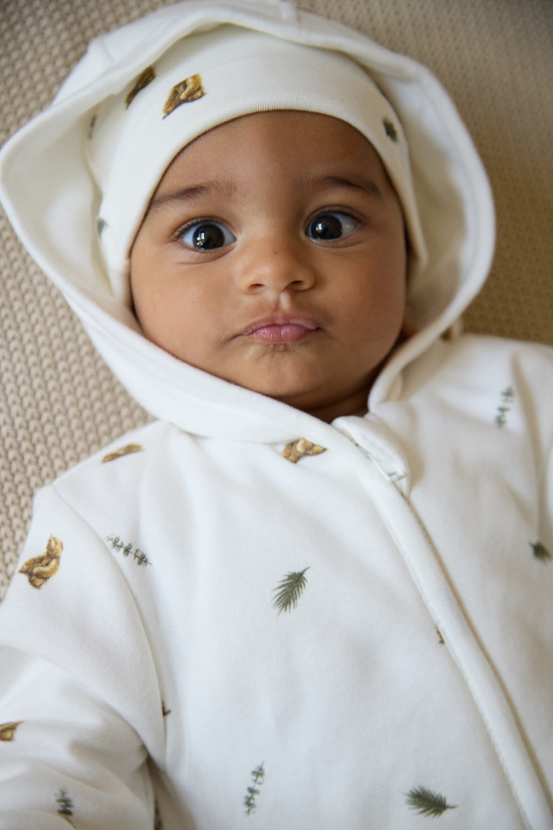 Kids Brown Bear Print Pramsuit