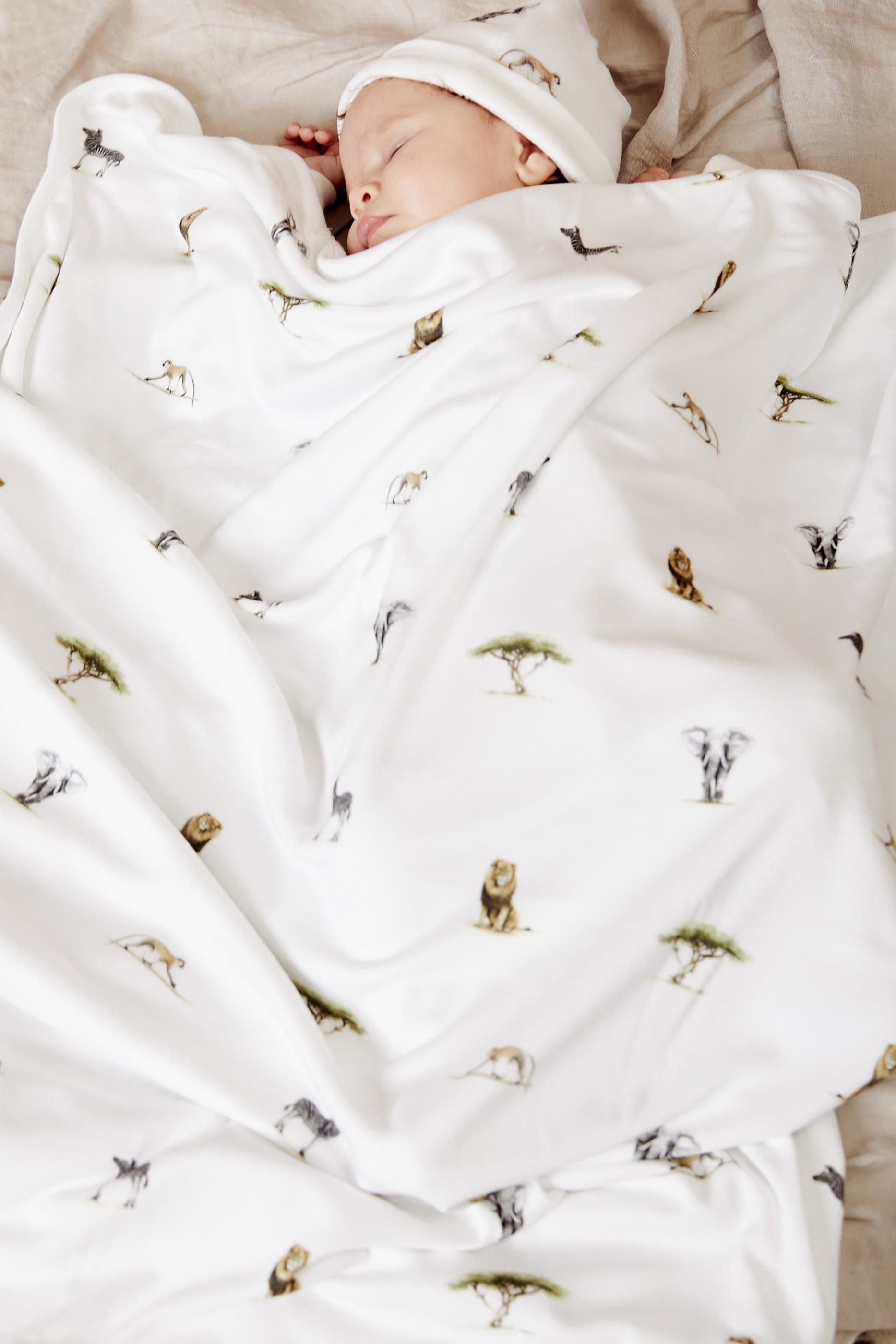 Kids Safari Print New Arrival Gift Set