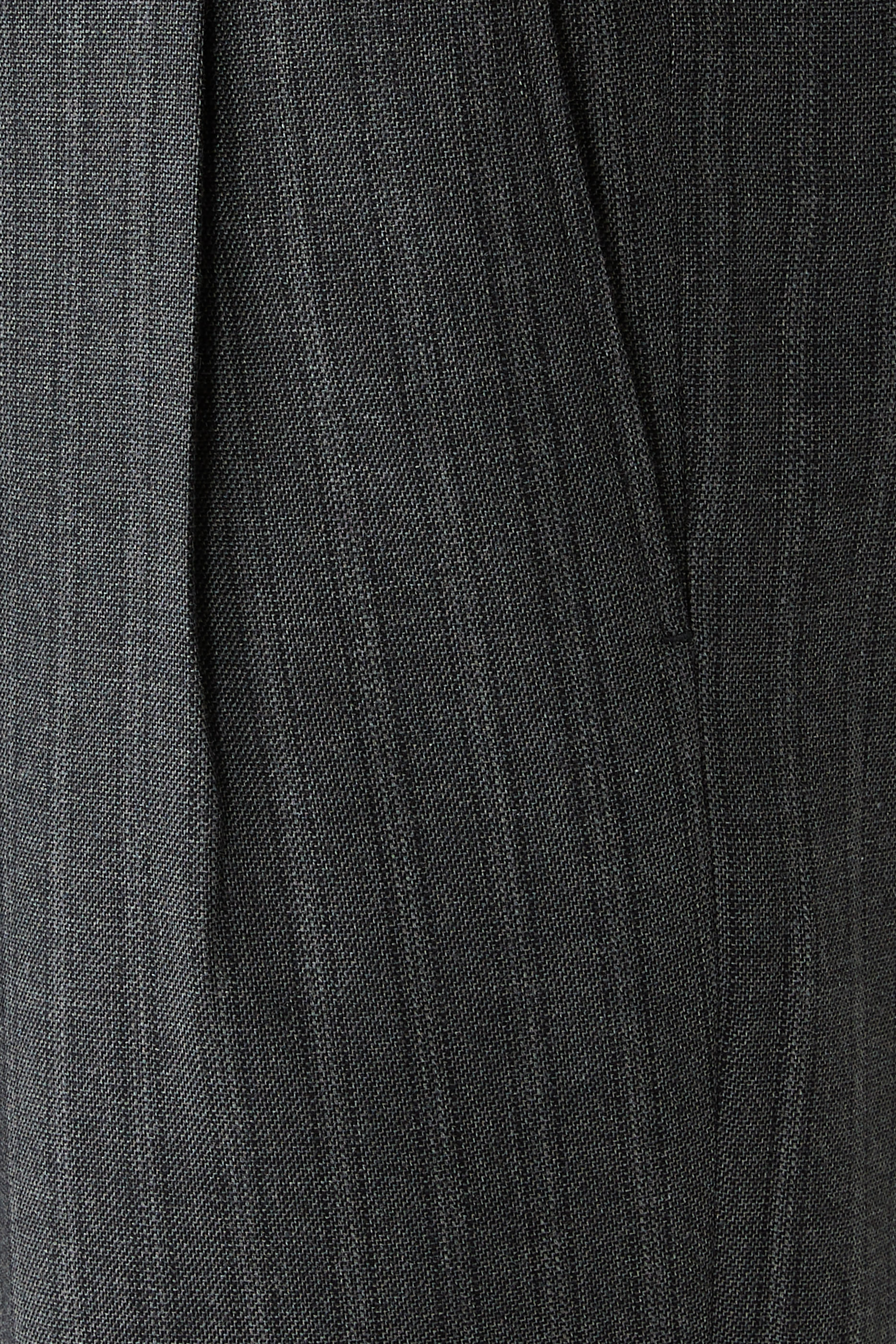 Wide Pleated Trousers