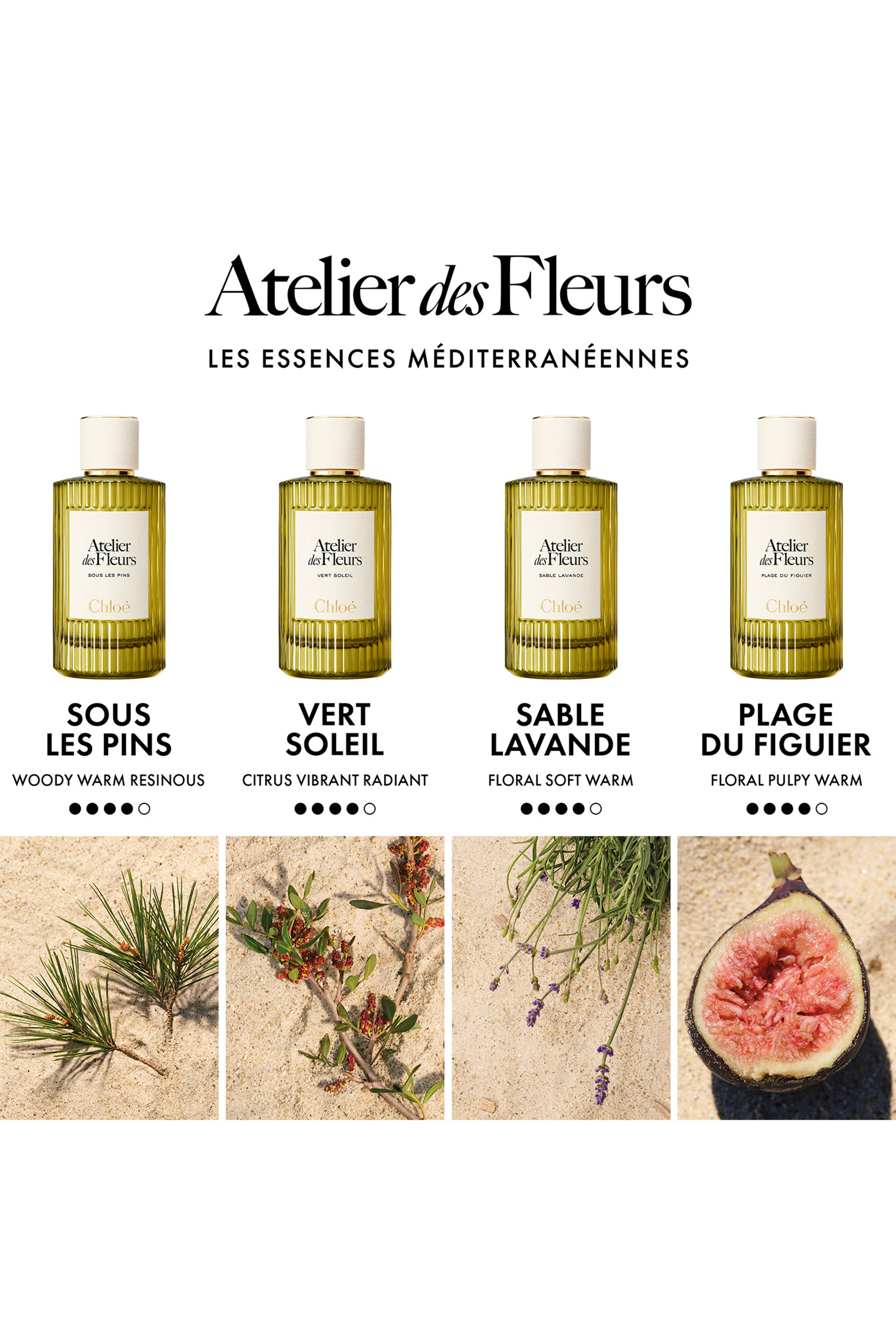 Atelier des Fleurs Plage du Figuier Eau de Parfum