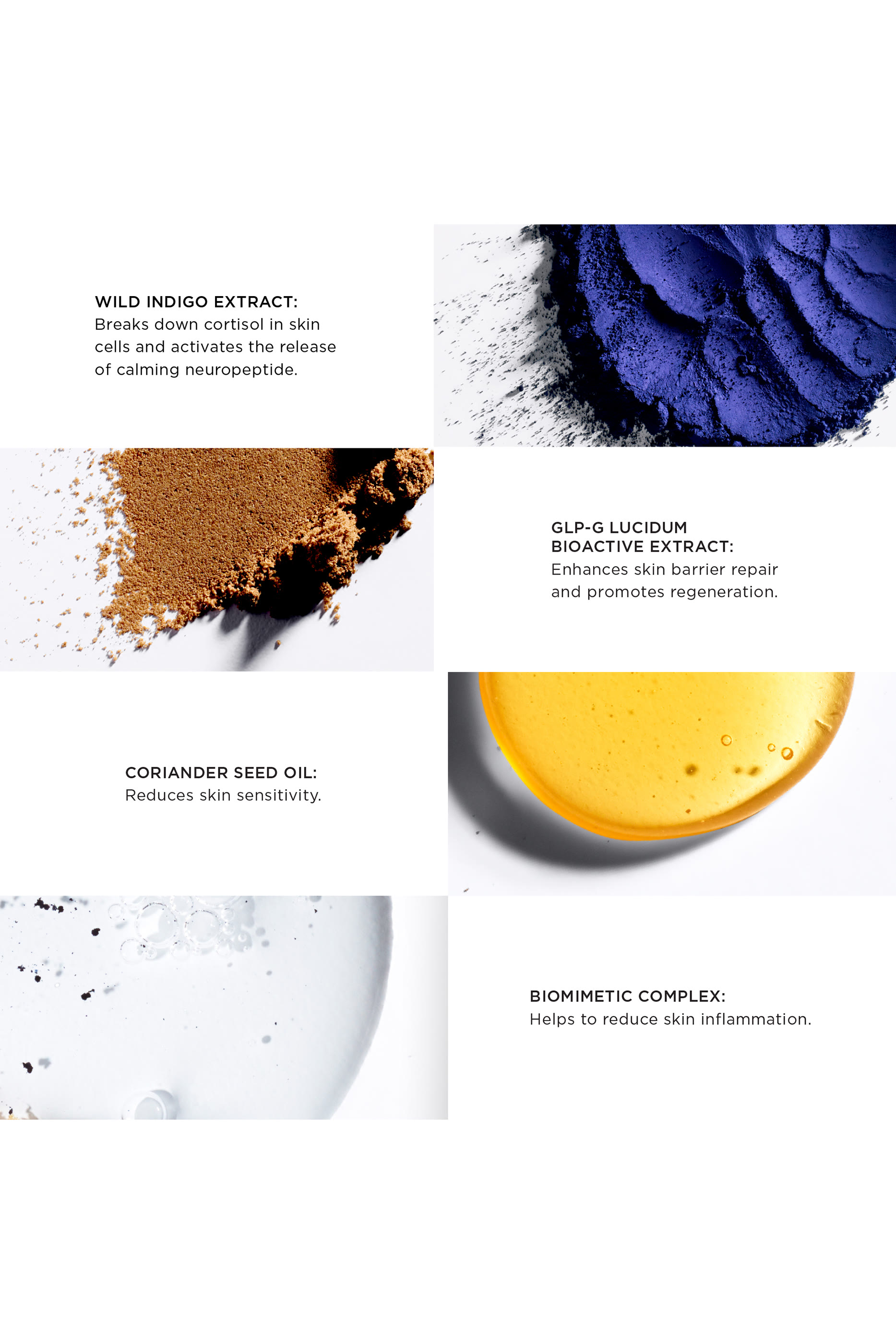 The Exceptional Repair Reset Cream