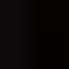 01 black tulip
