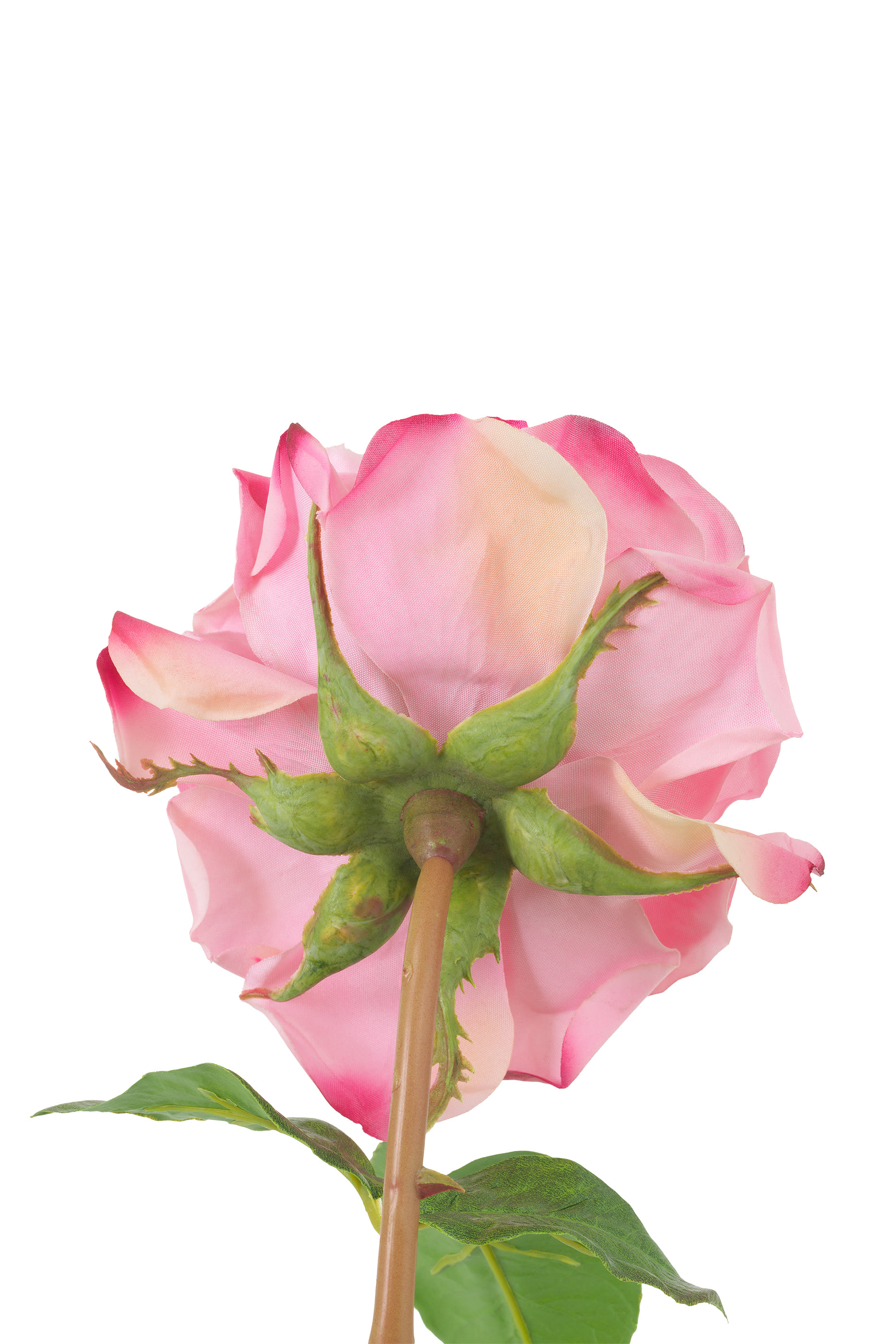 Real Touch Bouquet of Roses - 72 Pieces
