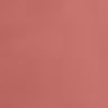 100 NUDE LOOK