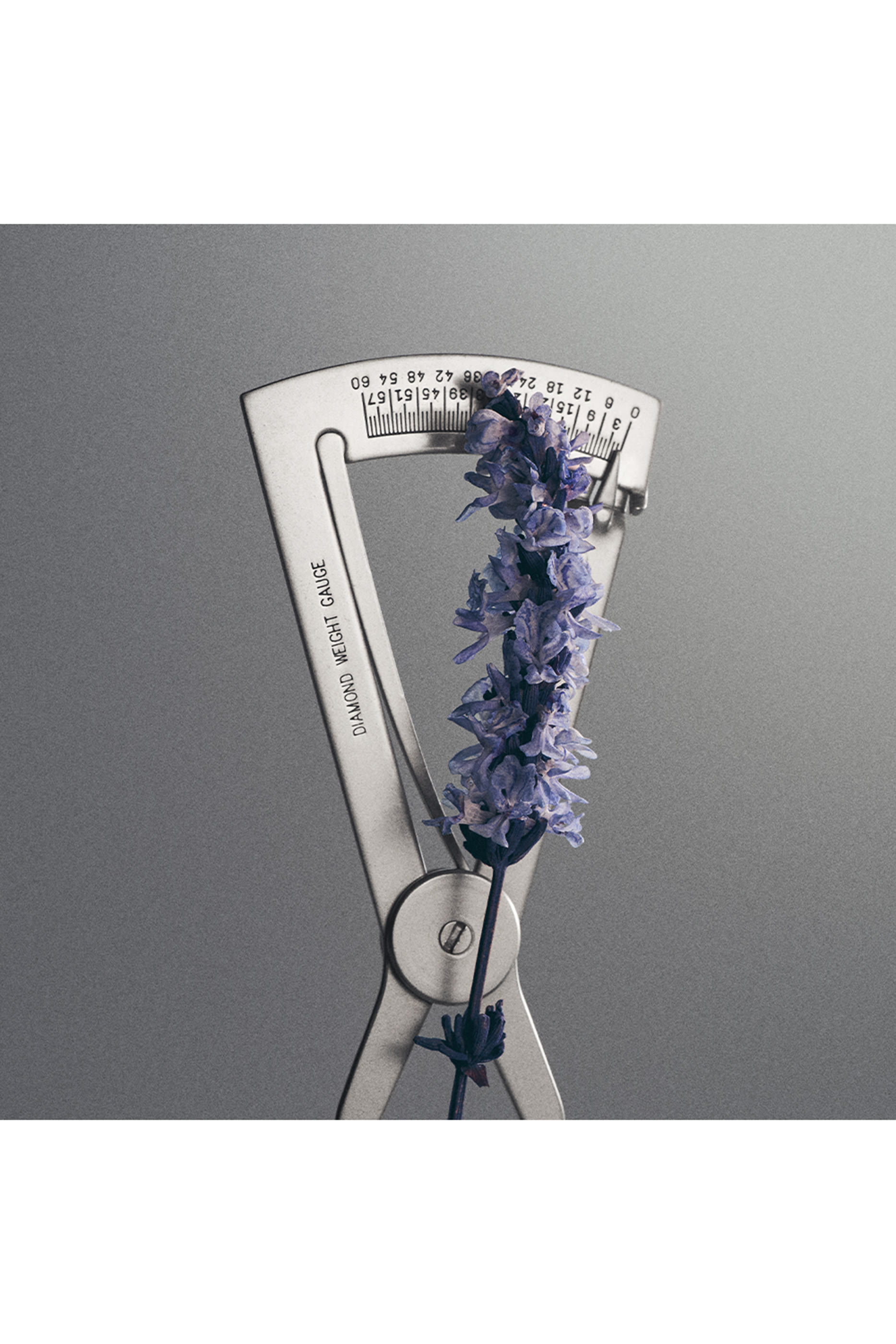 Iris Debonair Eau De Parfum