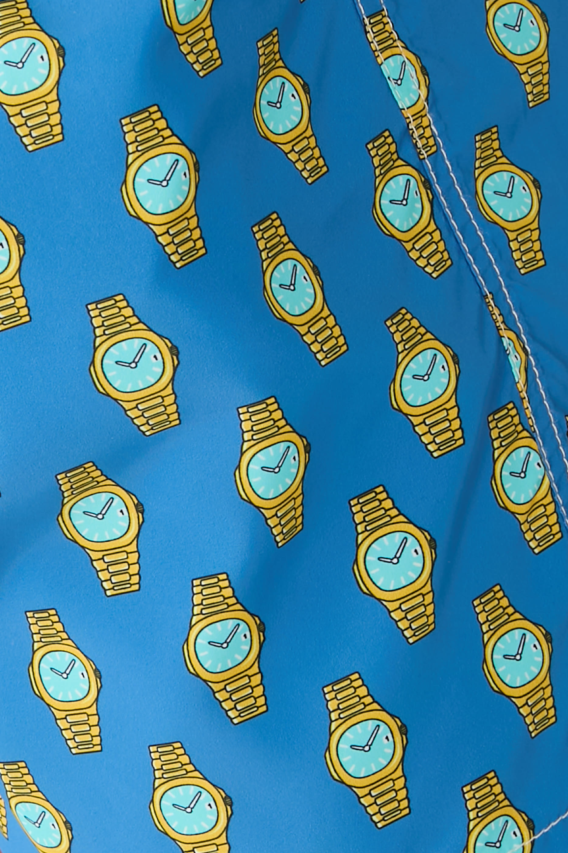 Printed Swim Shorts 