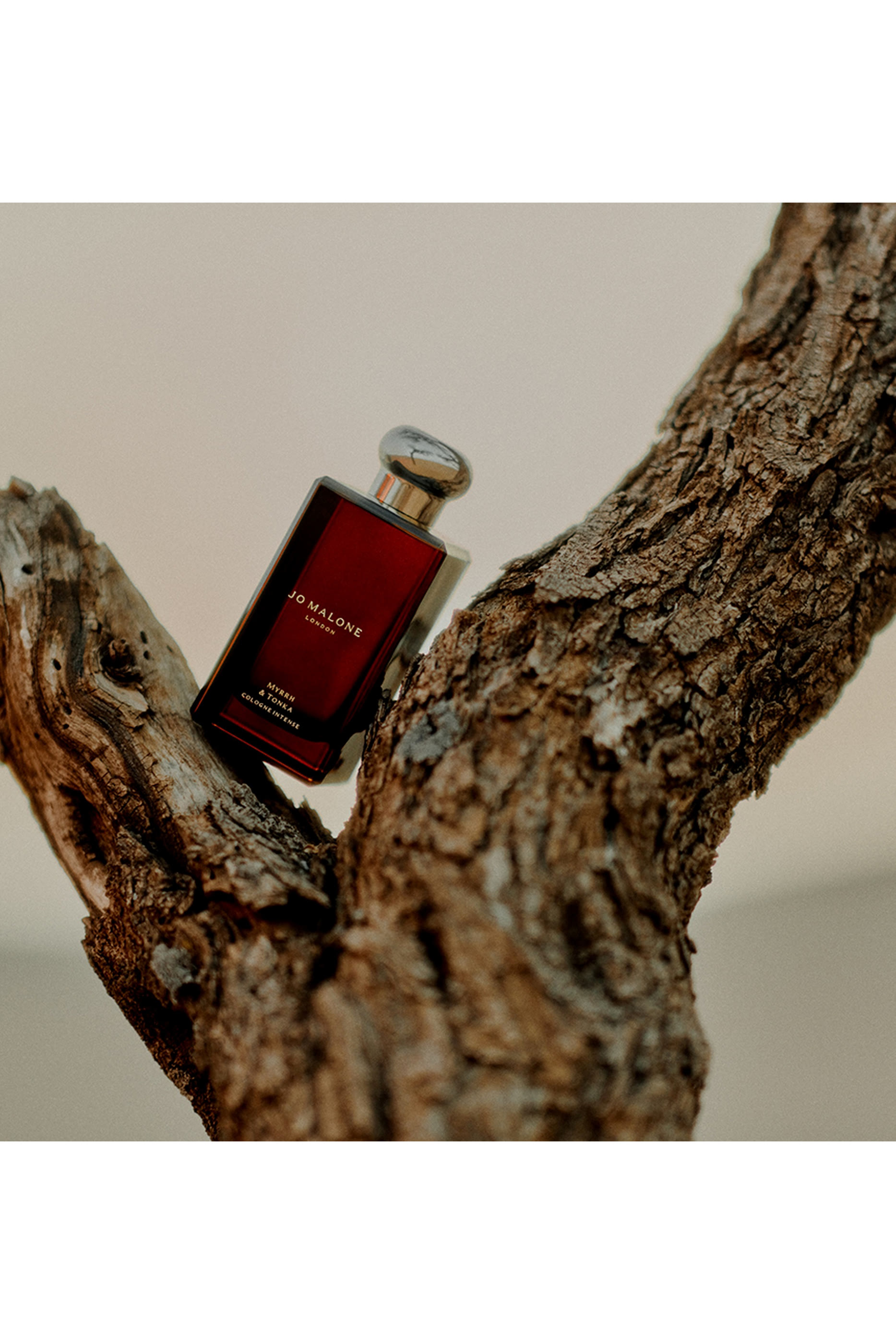 Myrrh  Tonka Cologne Intense Eau de Parfum