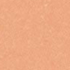 11W Light Medium - Peach warm undertones