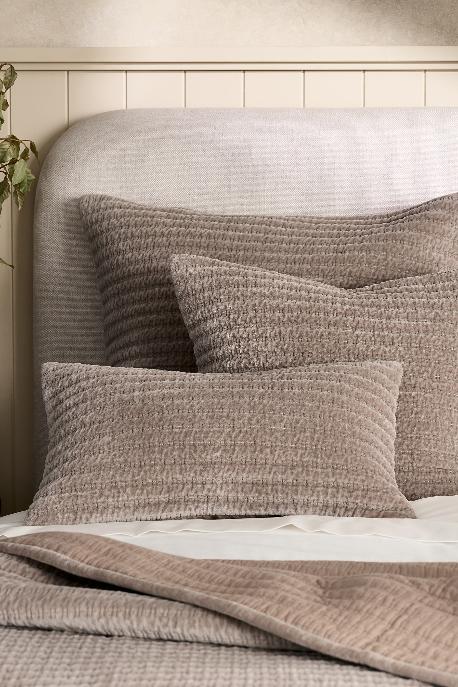 Farlow Cushion