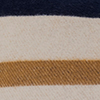 Blue___Tan