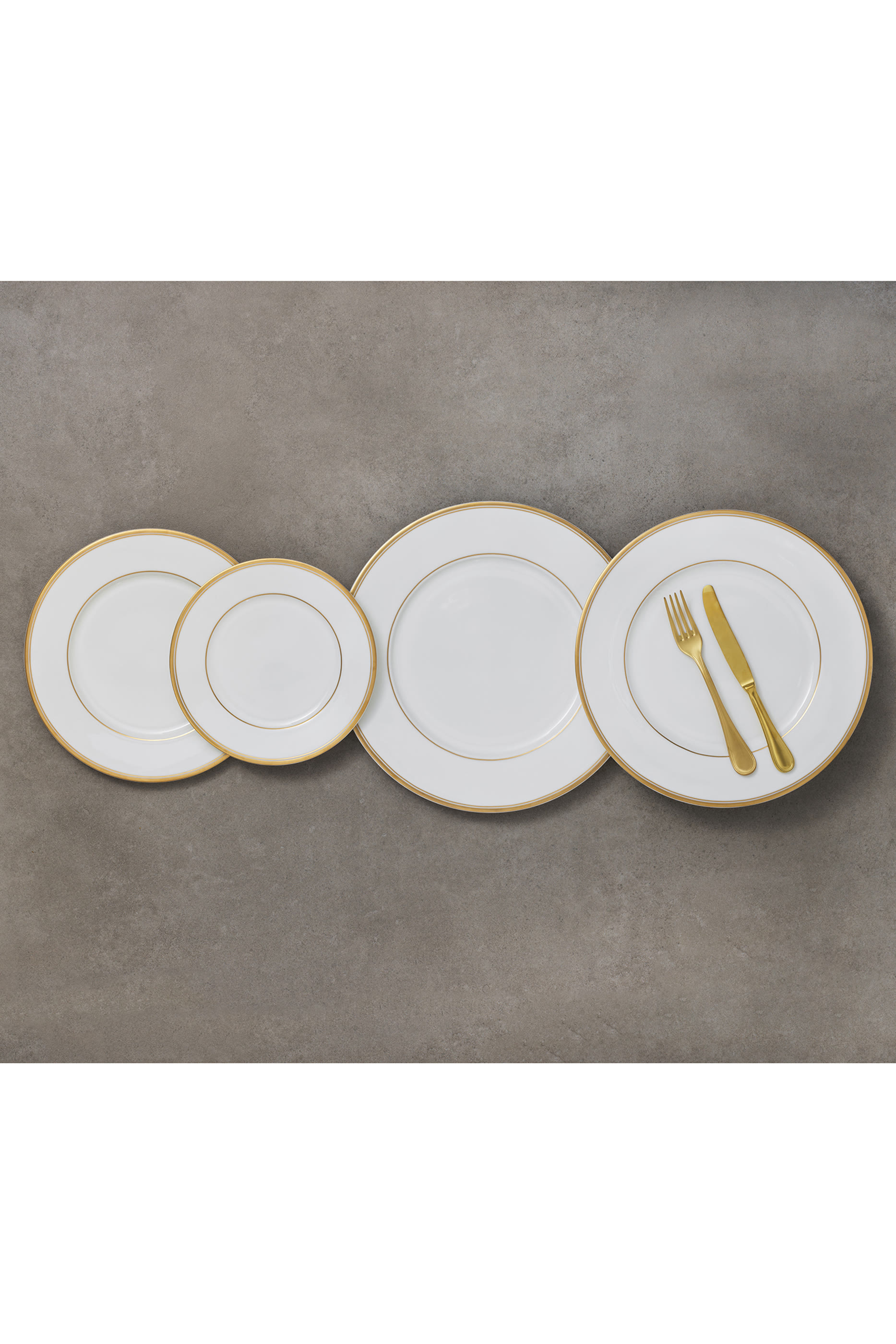 Le Verrier Dinner Plate 