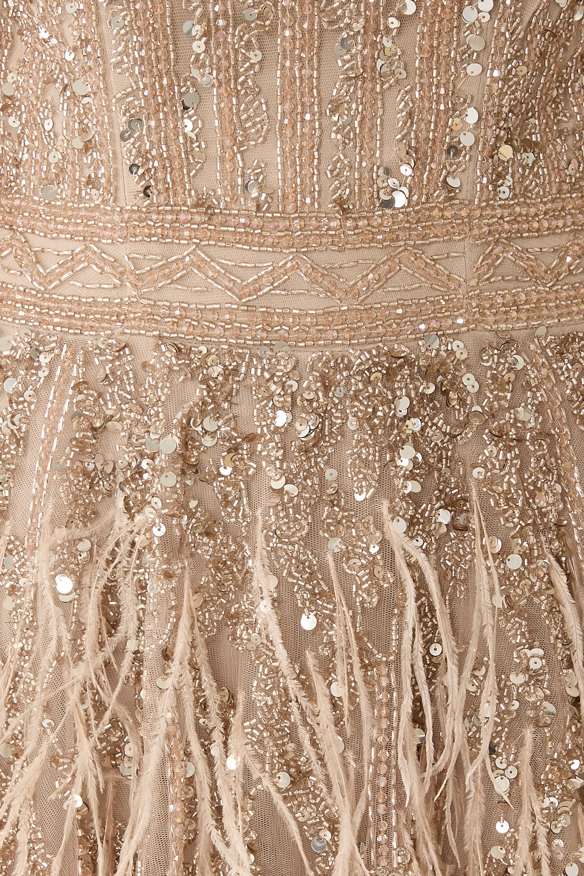 Feathered Cape Sleeves Gown