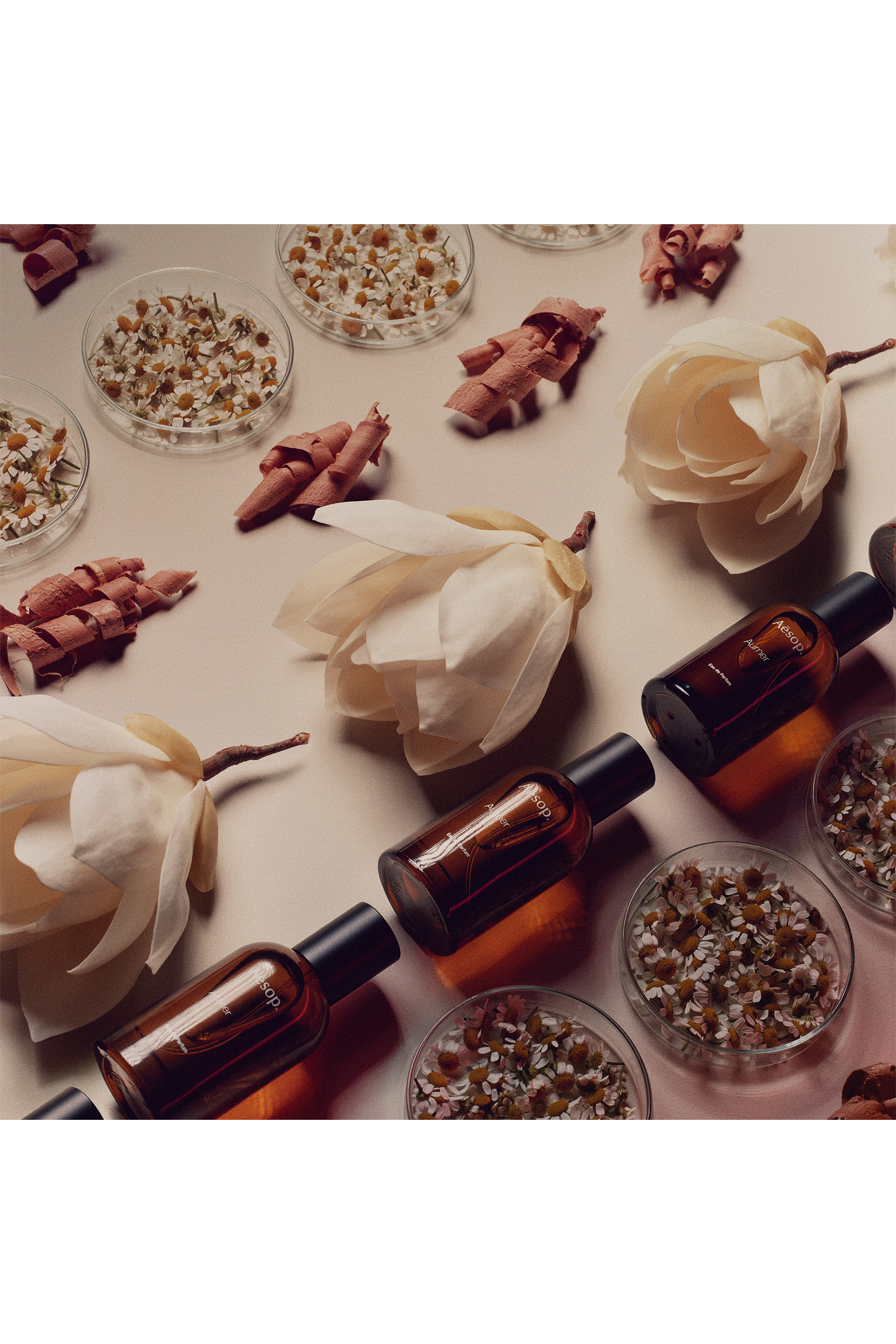   Aurner Eau de Parfum