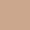 Sandy Beige In Paris