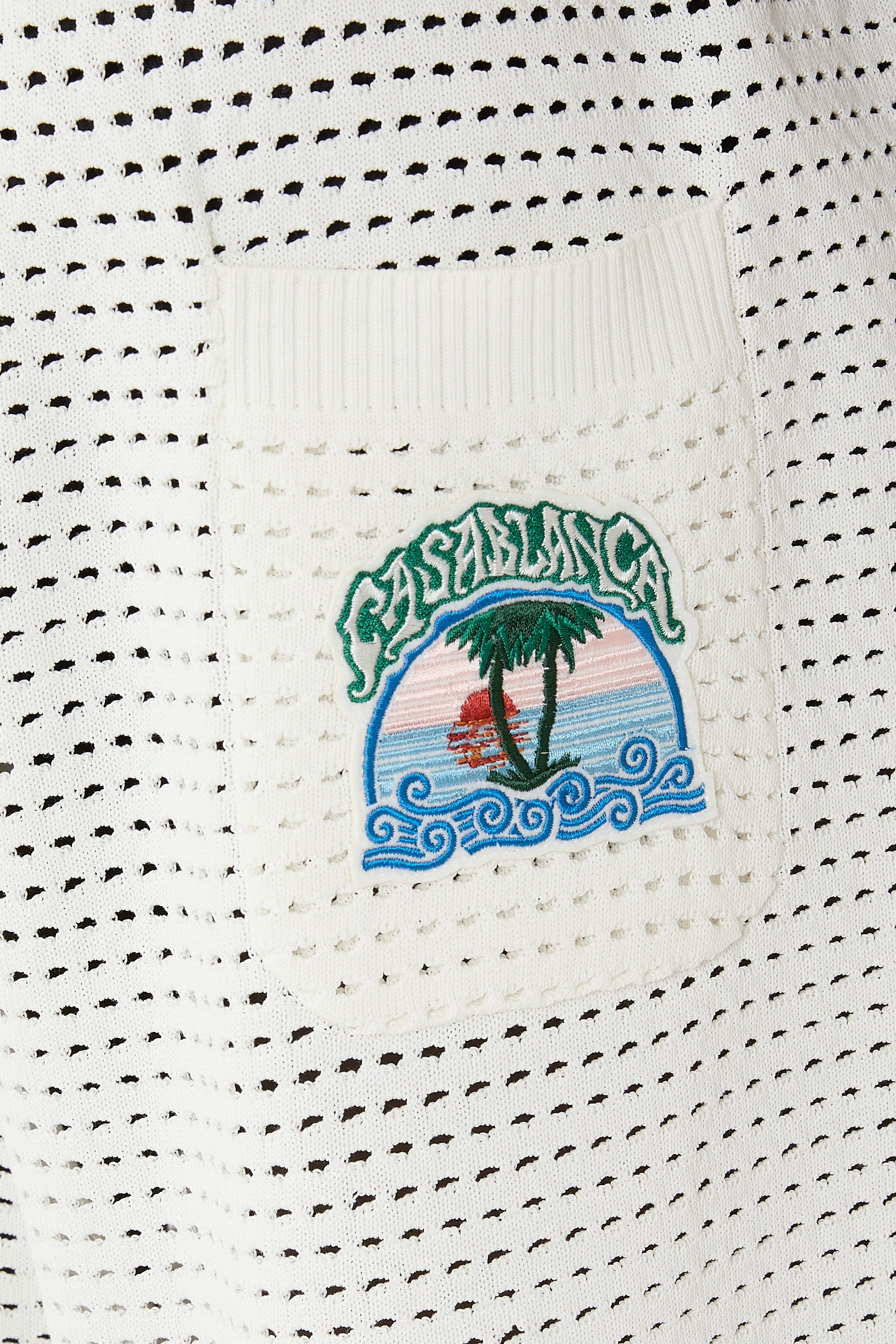 Palm Tree Emblem Crochet Shorts