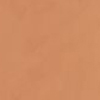 N&deg;5N Medium Deep With Neutral Undertones