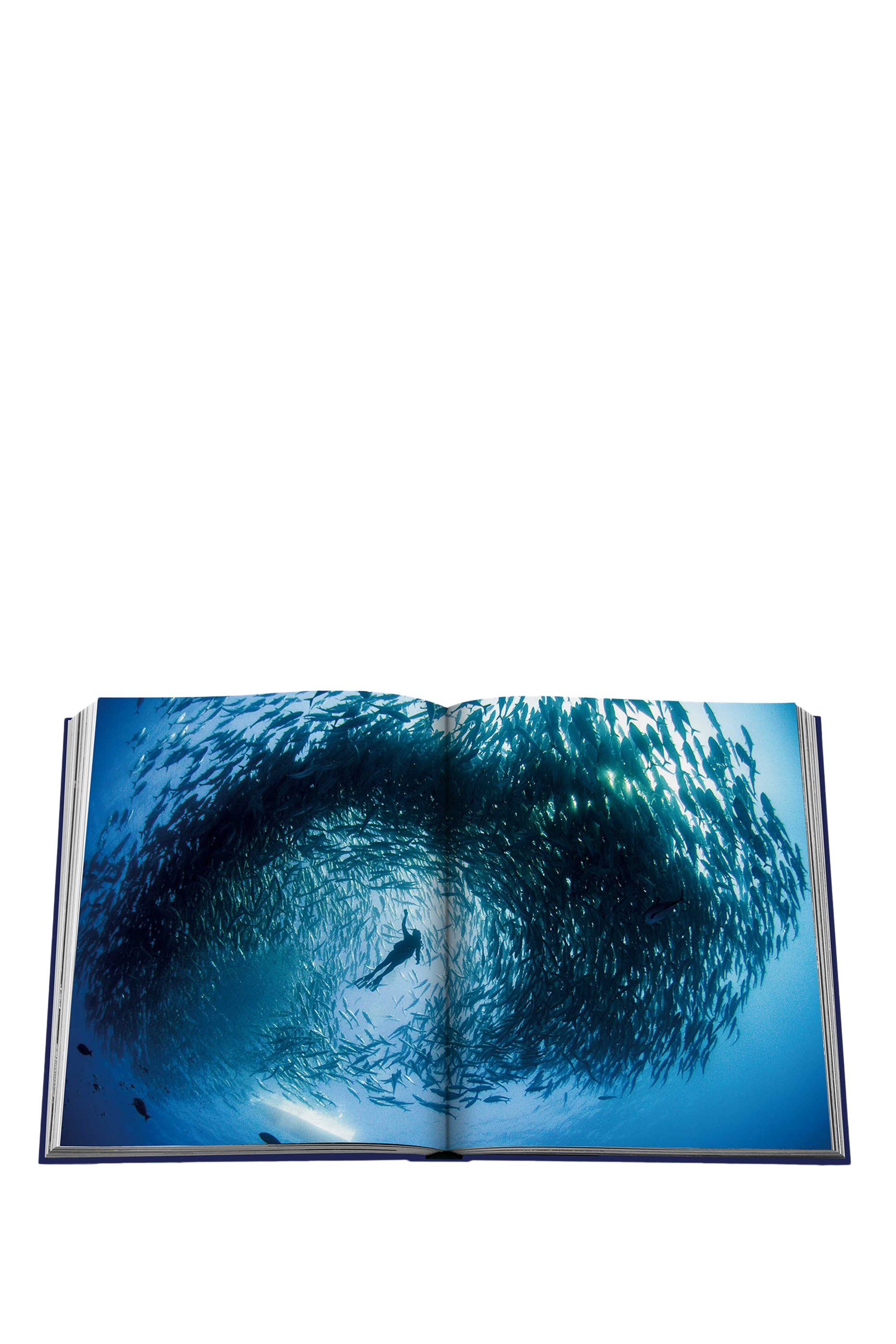 Ocean Wanderlust