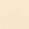 1N1 Ivory Nude