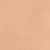 1Y16 Warm Beige