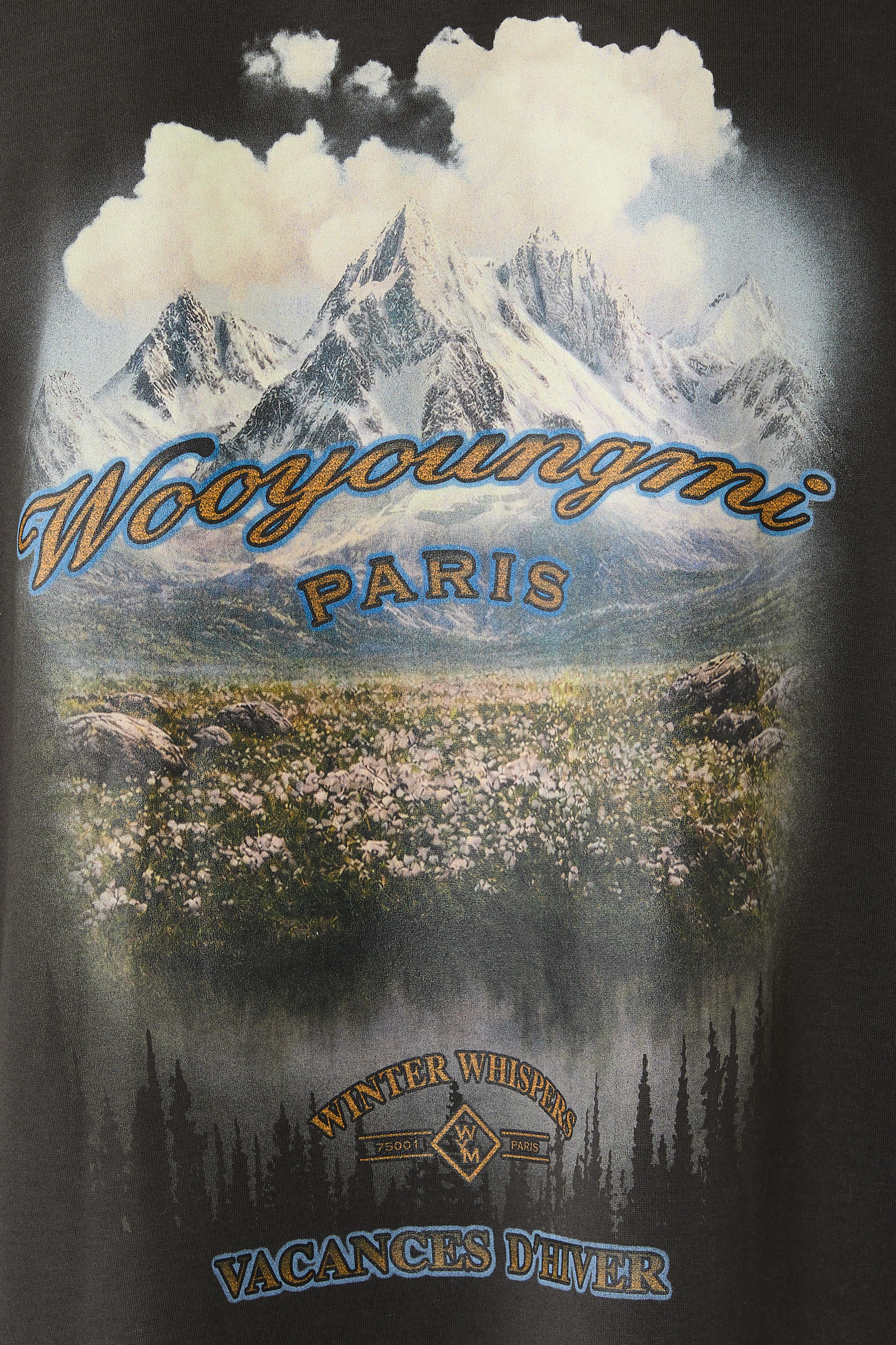 Scenery Graphic T-Shirt