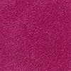Bright Purple