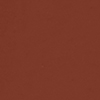 Italian Rose