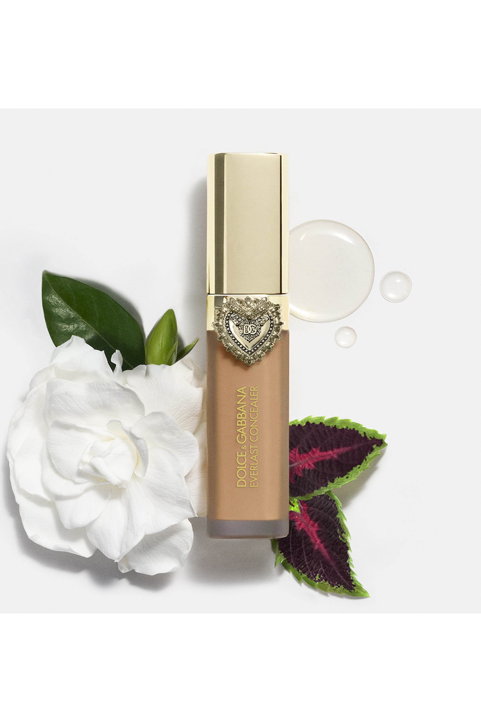 Everlast Concealer