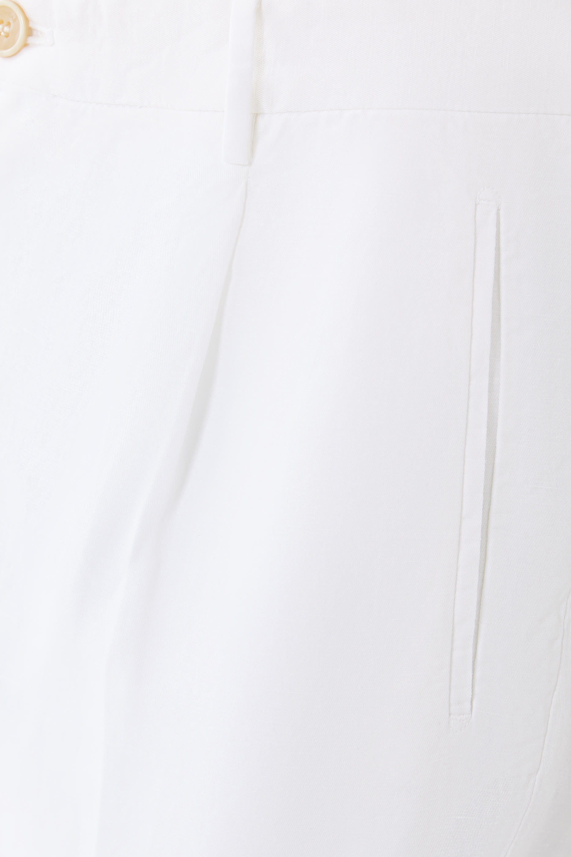 Pleated Trousers