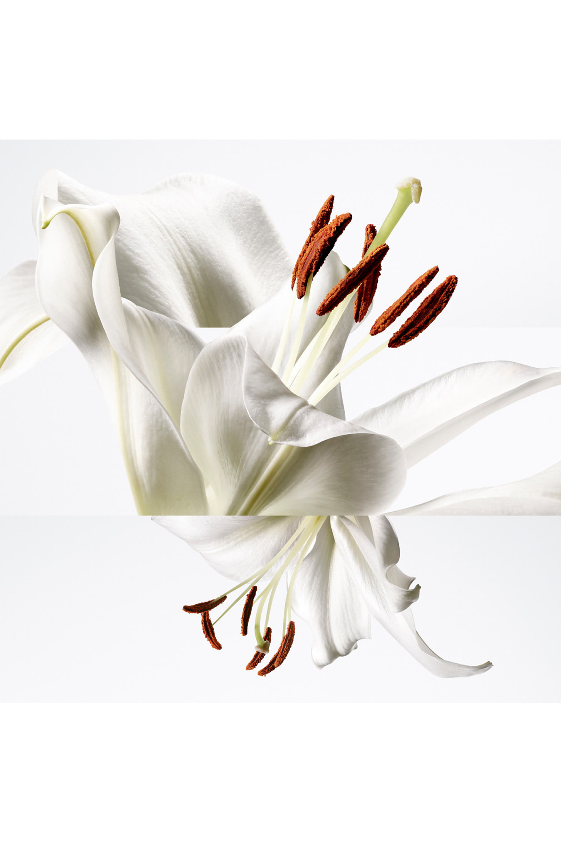 Bar&eacute;nia Pleine Fleur Eau de Parfum