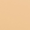 Warm Beige