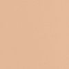 Warm Beige