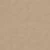 Warm Beige